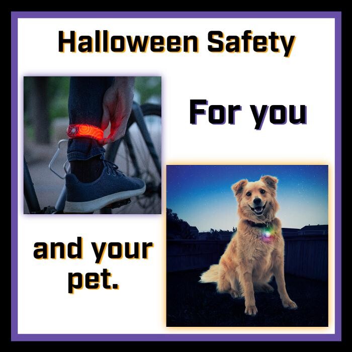 Images H Houst & Son Inc