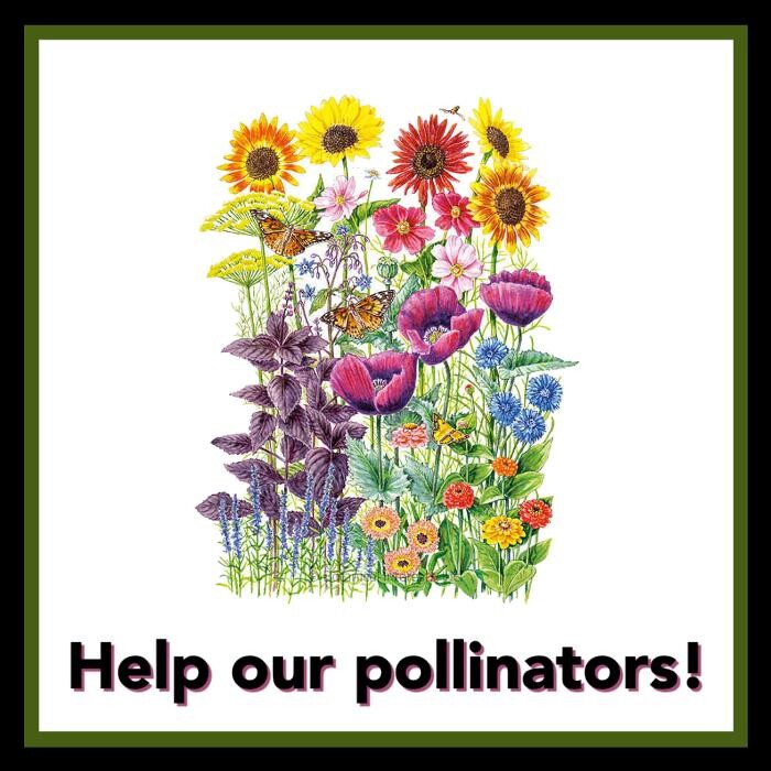 Images H Houst & Son Inc