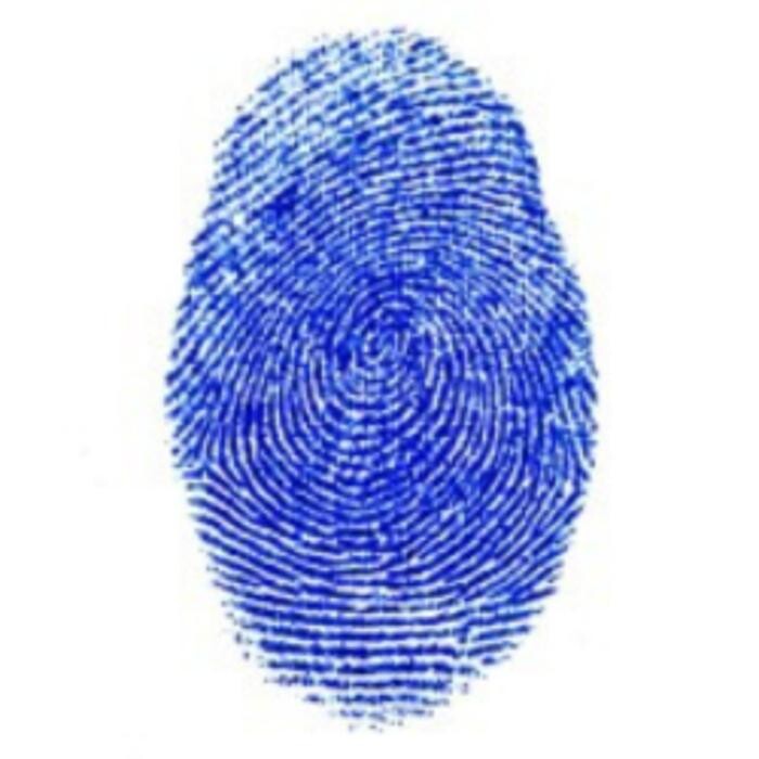 Private Eyes, Inc. Charlotte, NC Logo