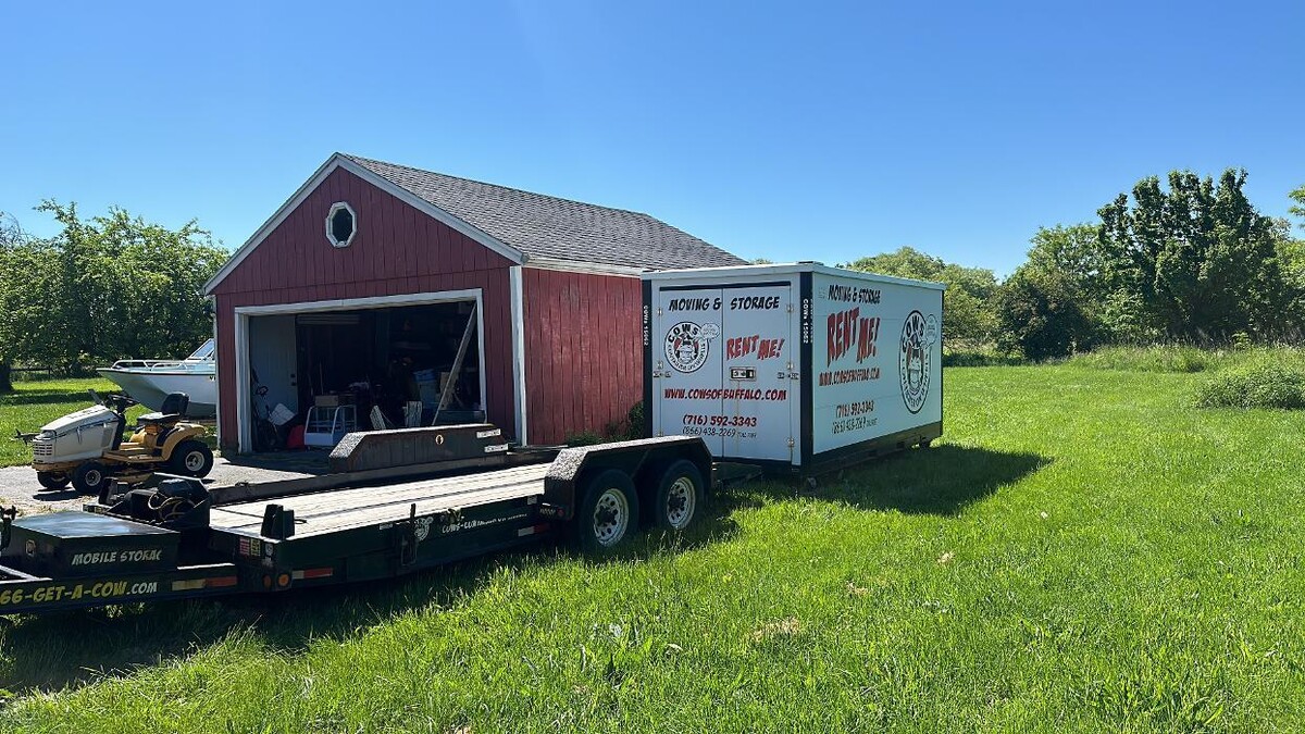 Images COWs of Buffalo