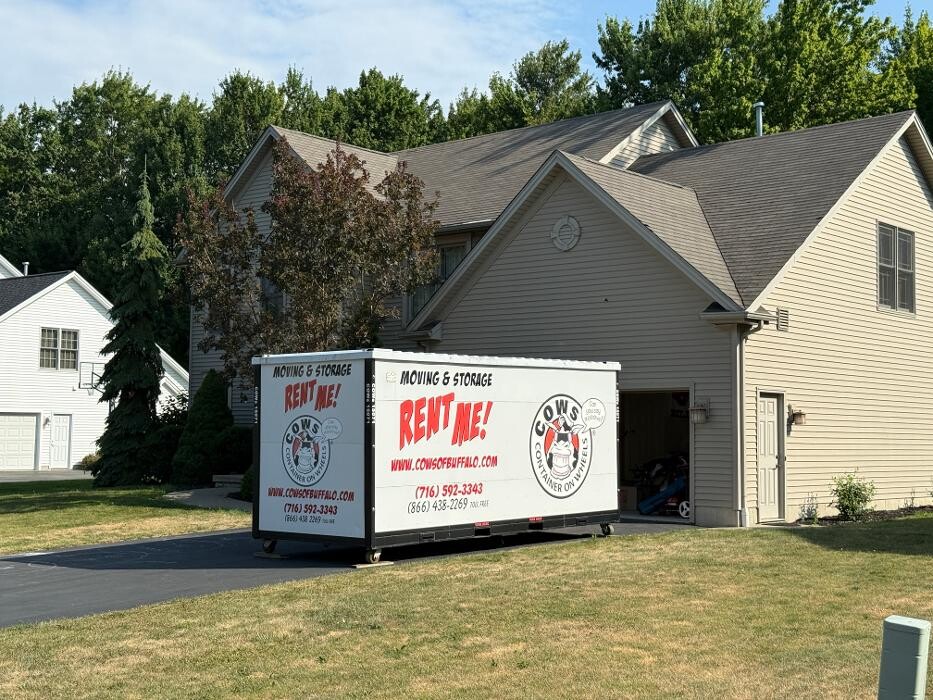 Images COWs of Buffalo