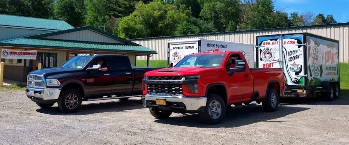 Images COWs of Buffalo