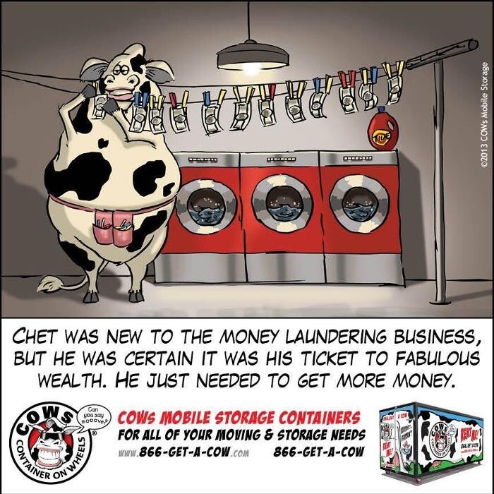 Images COWs of Buffalo