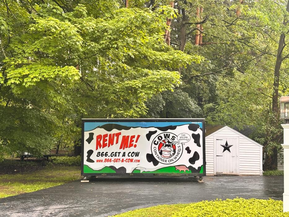 Images COWs of Buffalo