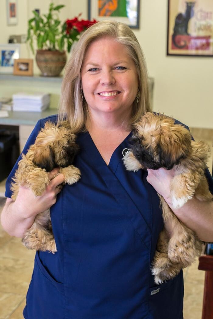 Images Topaz Veterinary Clinic