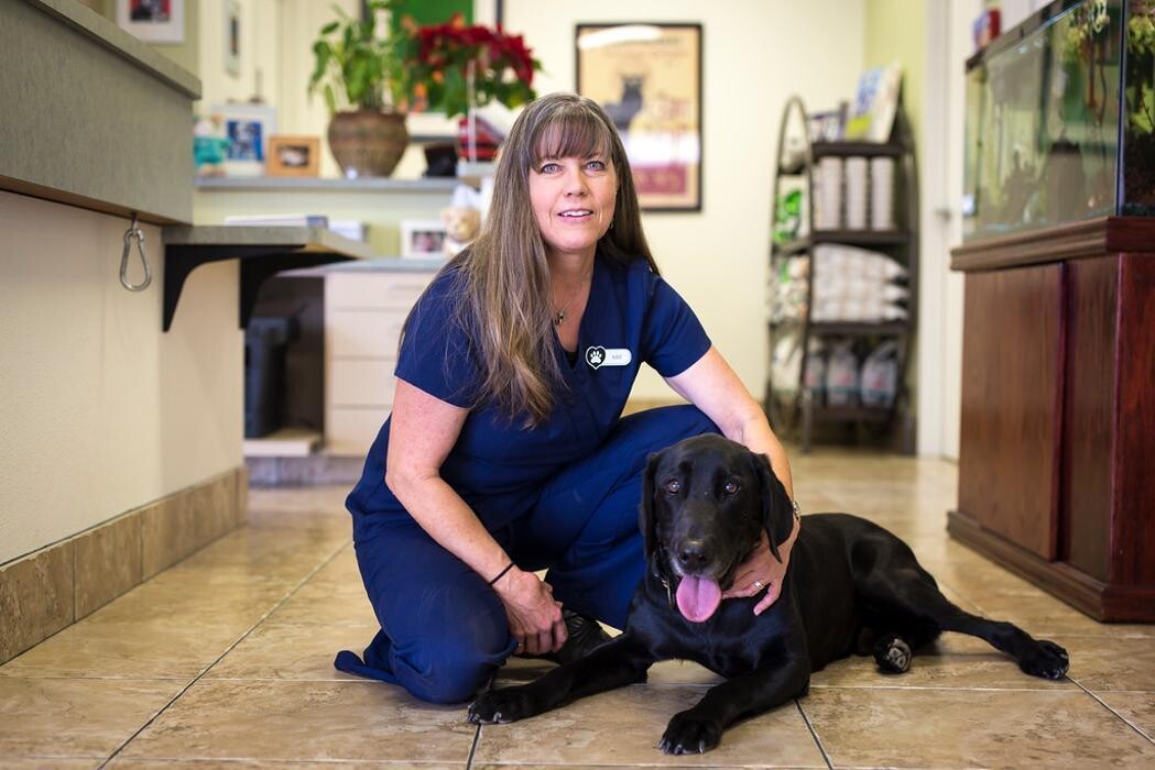 Images Topaz Veterinary Clinic