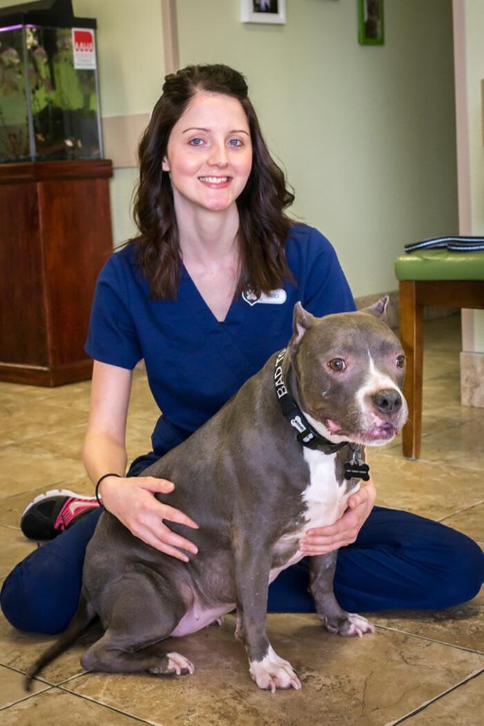 Images Topaz Veterinary Clinic