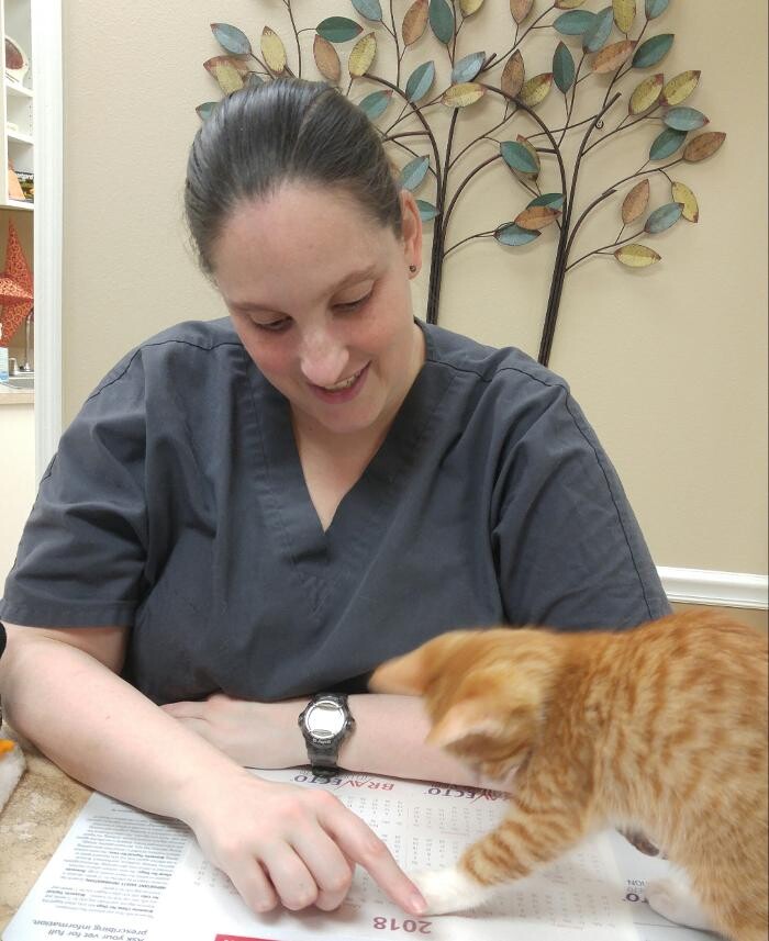 Images Avalon Family Vet