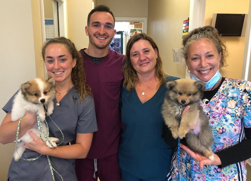 Images Avalon Family Vet