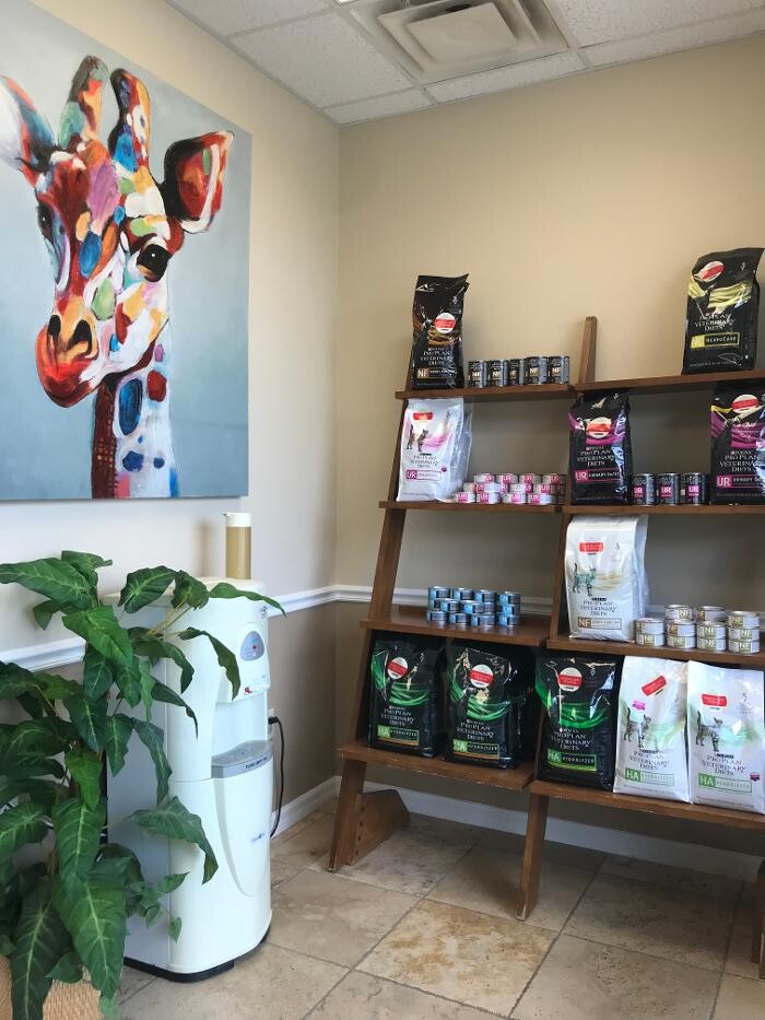 Images Avalon Family Vet