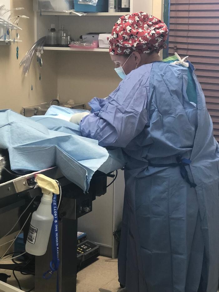 Images Avalon Family Vet