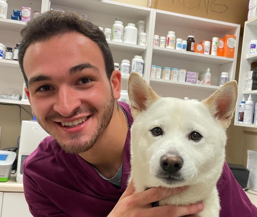 Images Avalon Family Vet