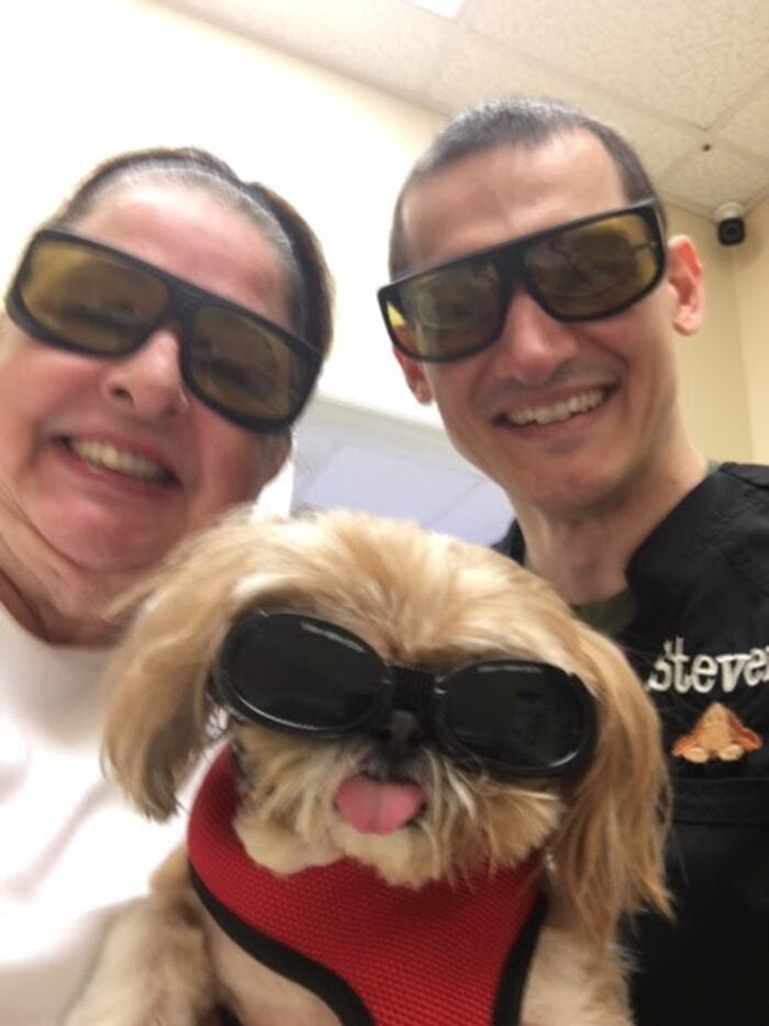 Images Avalon Family Vet