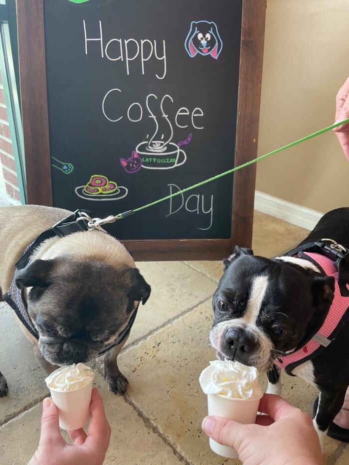 Images Avalon Family Vet