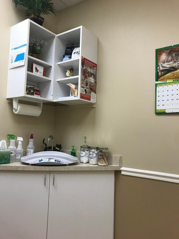 Images Avalon Family Vet