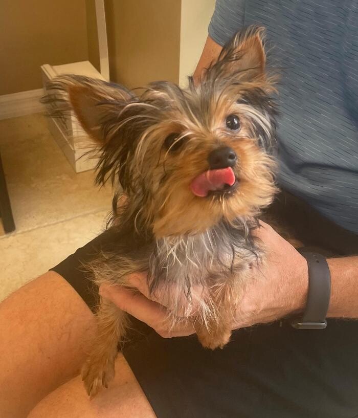 Images Avalon Family Vet