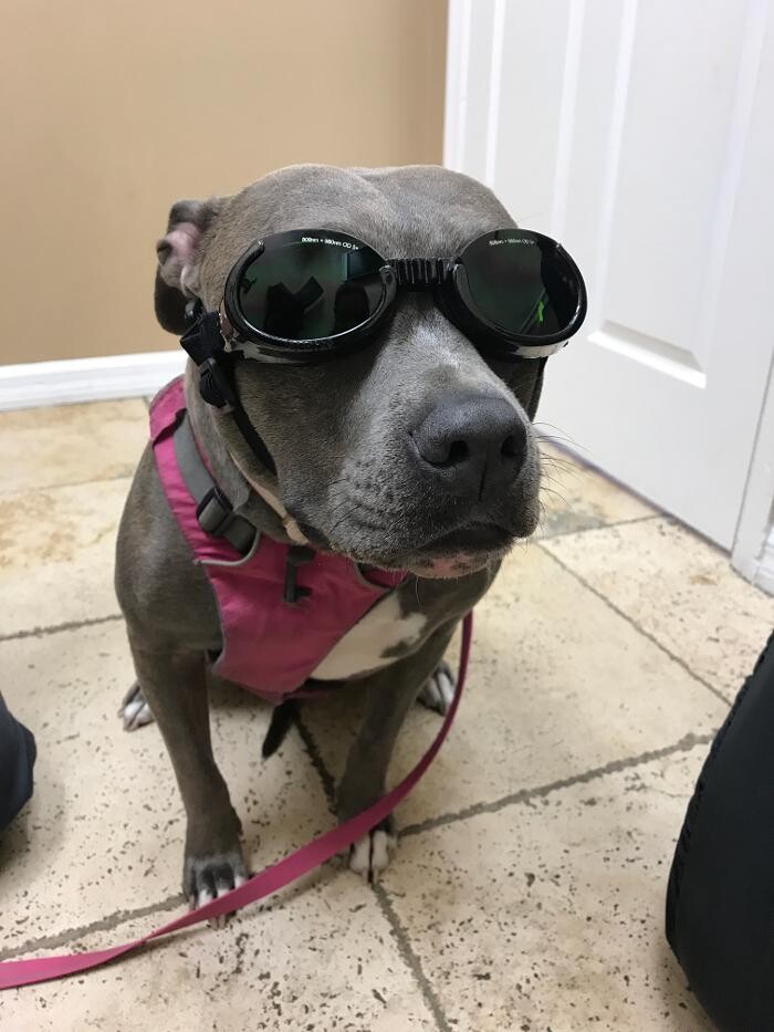 Images Avalon Family Vet