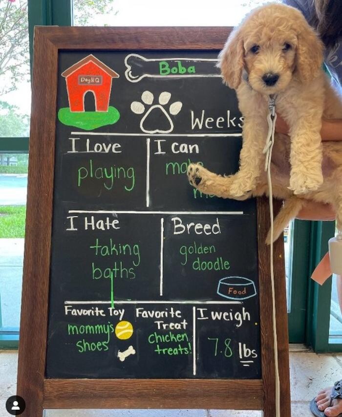 Images Avalon Family Vet