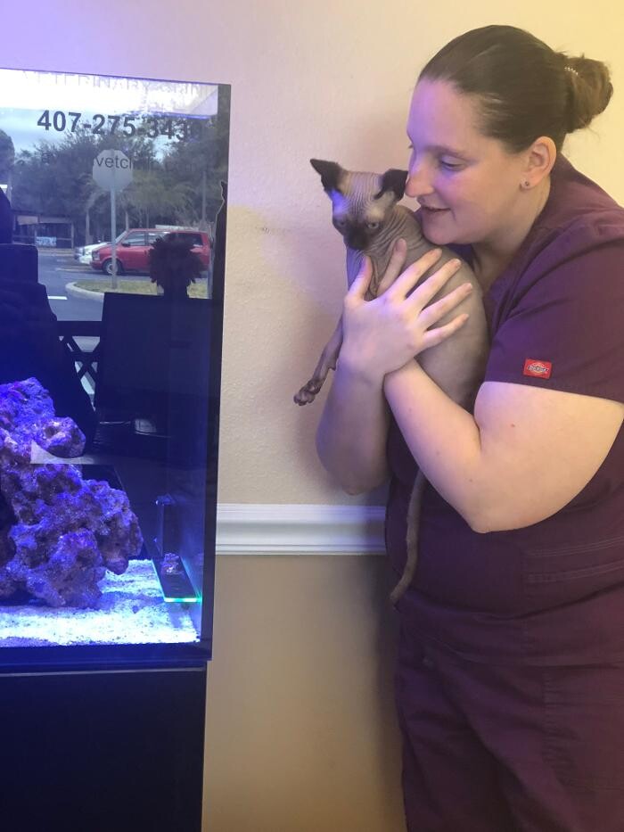 Images Avalon Family Vet