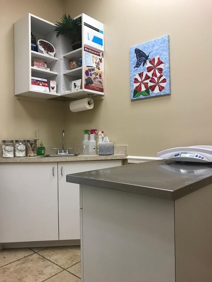 Images Avalon Family Vet