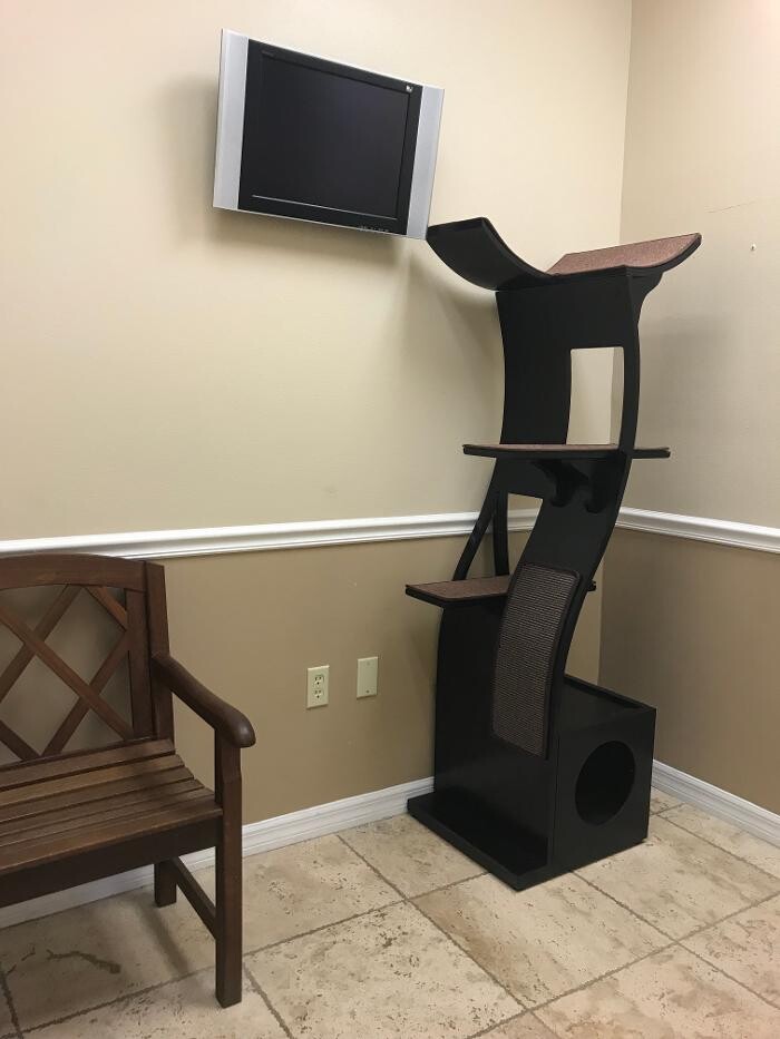 Images Avalon Family Vet