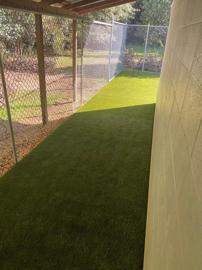 Images Delta Animal Hospital