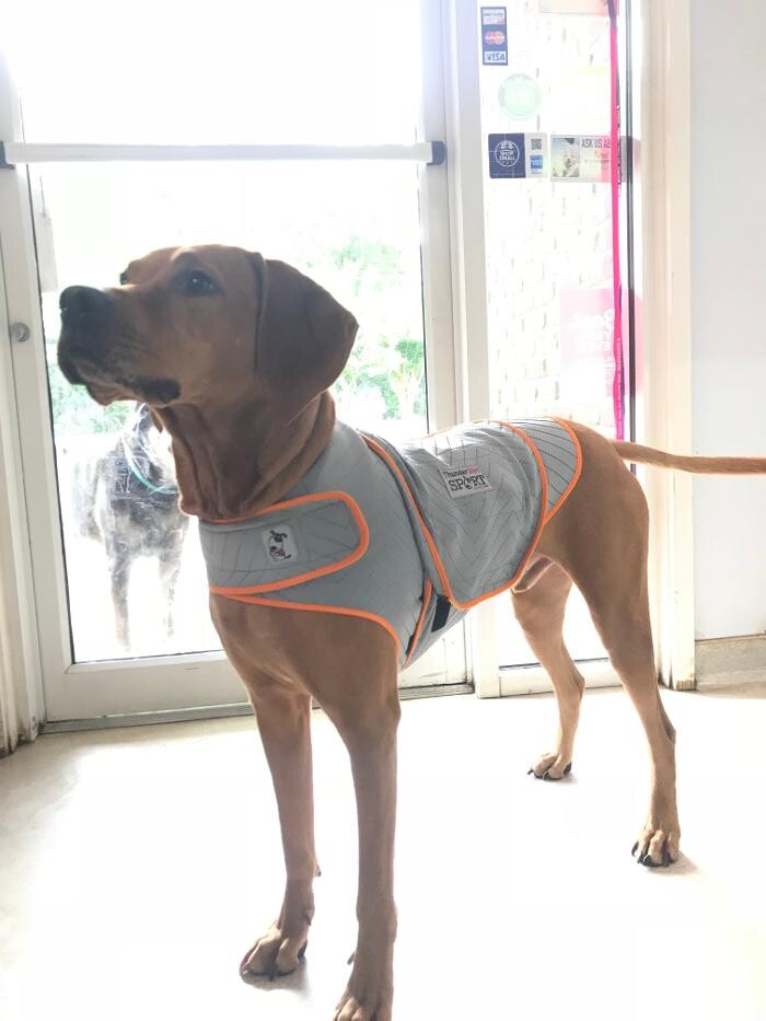 Images Delta Animal Hospital