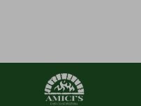 Website Screenshot Amici's East Coast Pizzeria