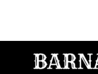 Website Screenshot Barnaskara Salon