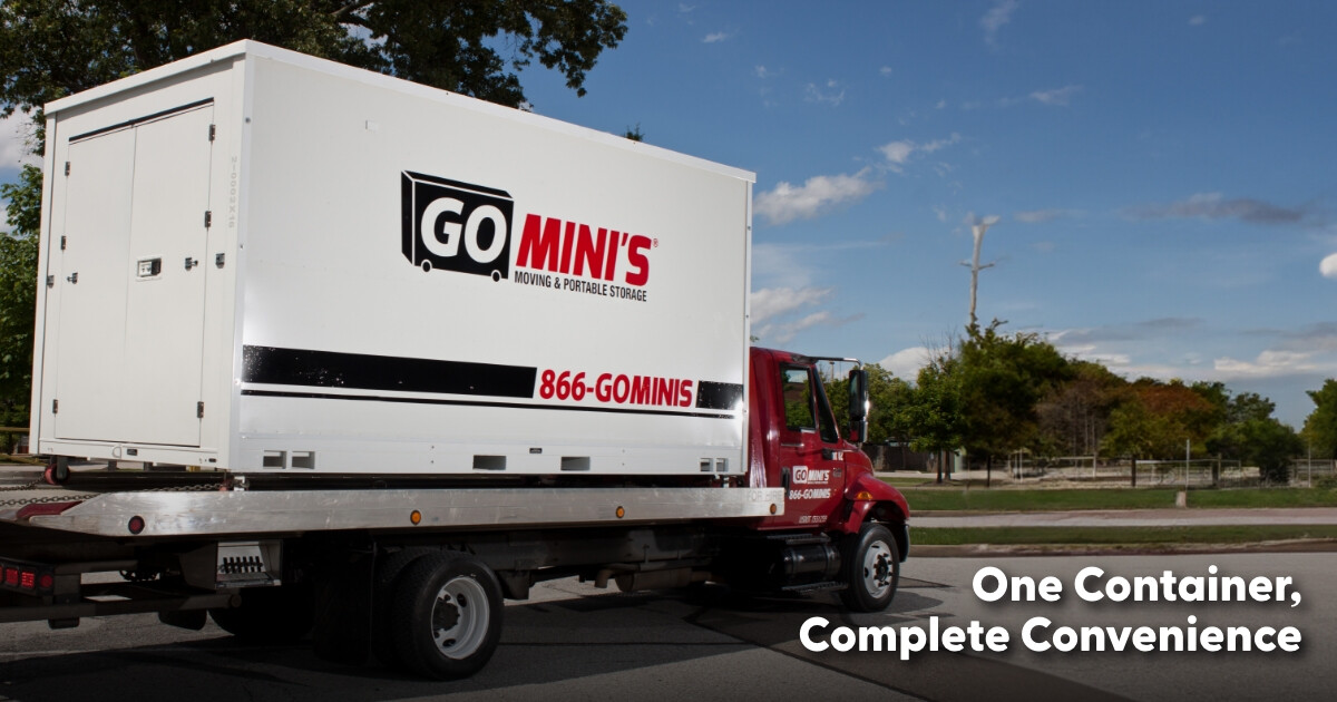 Images Go Minis