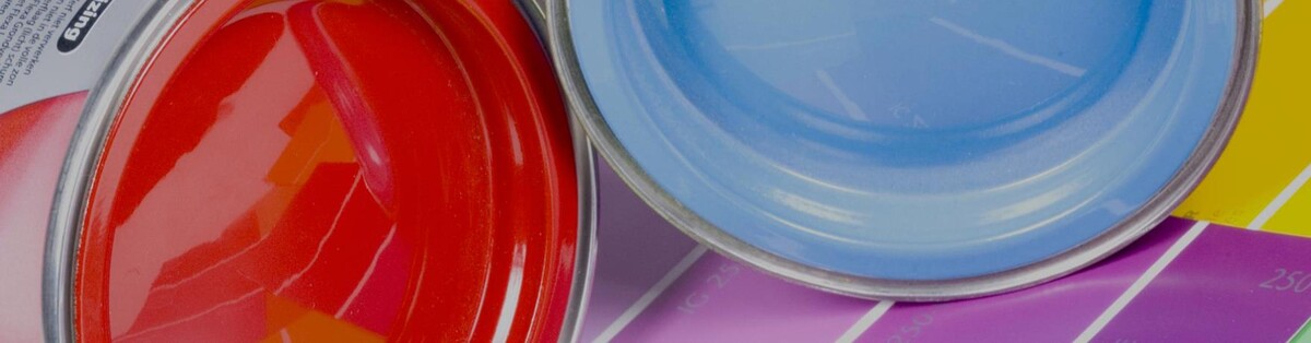 Images Painting by Pros