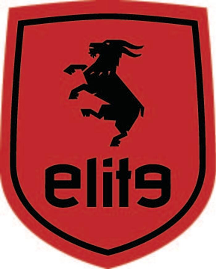 Elite Auto Solutions Logo