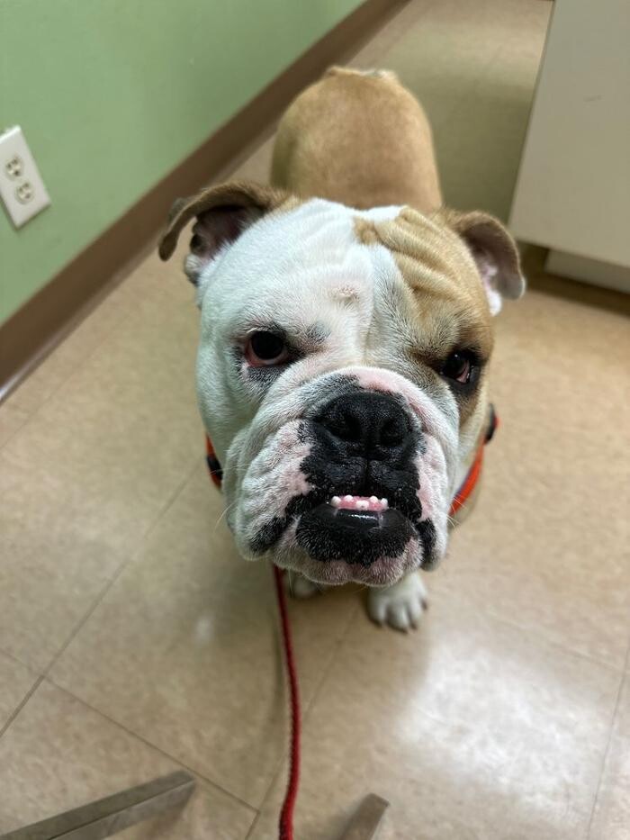 Images Tri-City Animal & Bird Clinic