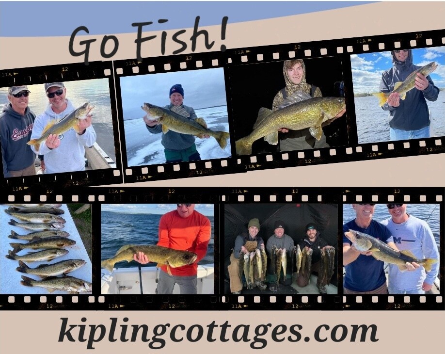 Images Kipling Cottages The Last Resort