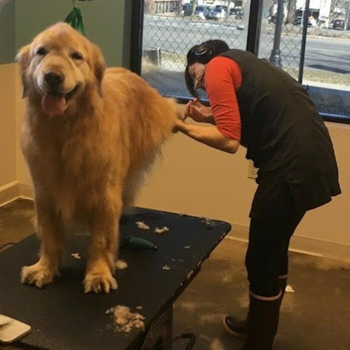 Images Eastown Veterinary Clinic