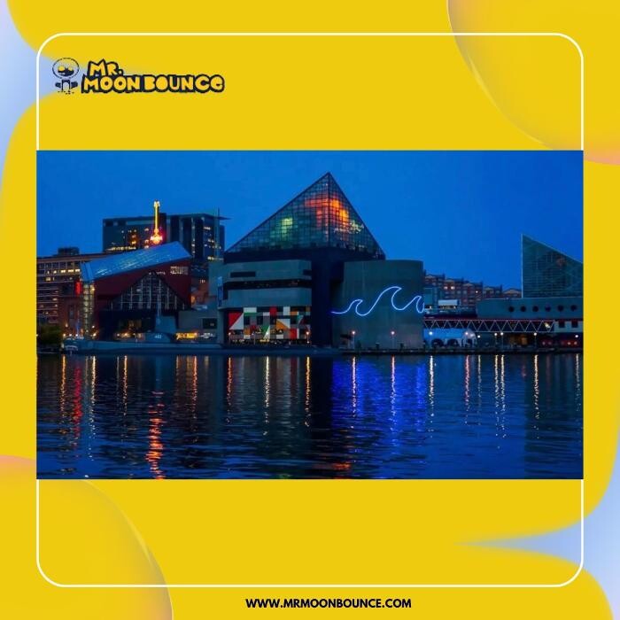 Images Mr. Moonbounce LLC.