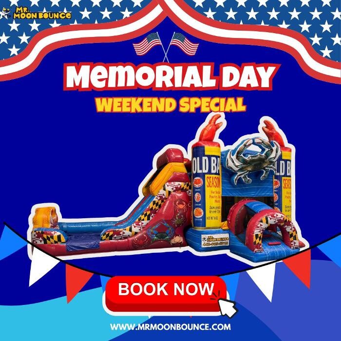 Images Mr. Moonbounce LLC.