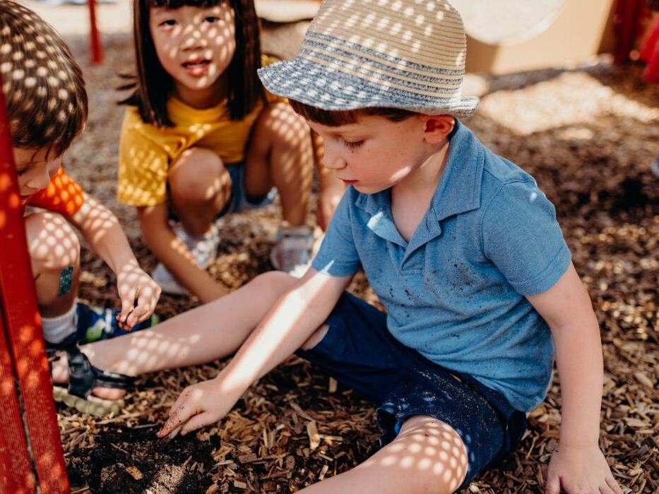 Images LeafSpring School at Three Chopt