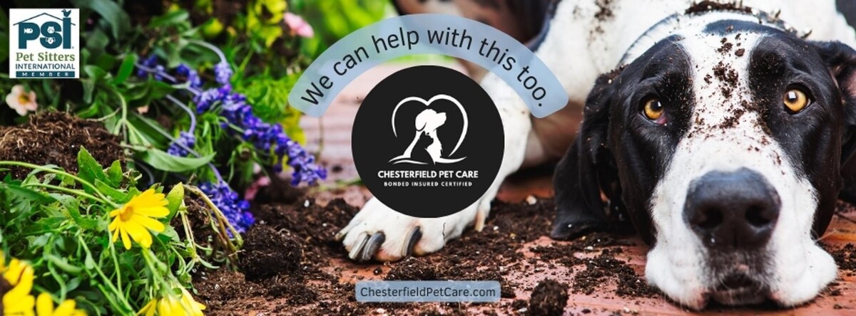 Images Chesterfield Pet Care