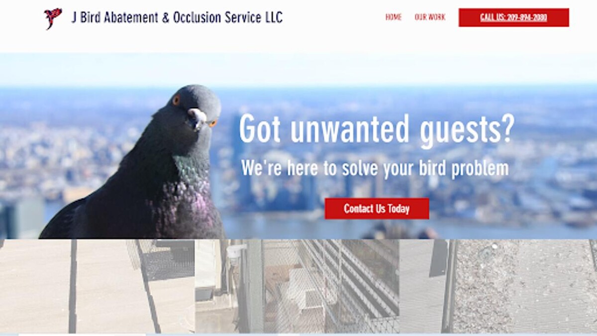 Images J Bird Abatement & Occlusion Service, LLC