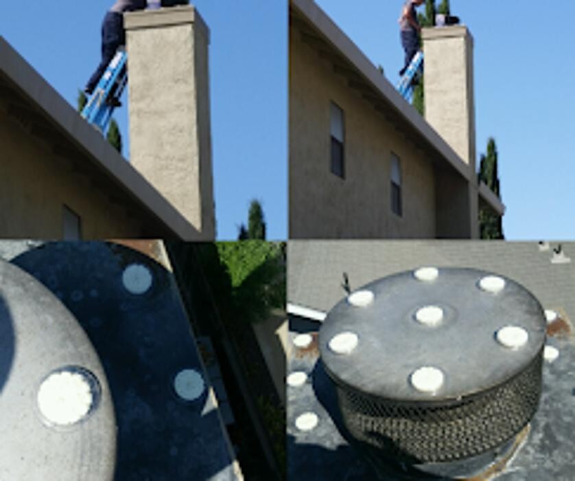 Images J Bird Abatement & Occlusion Service, LLC