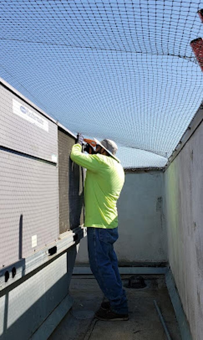 Images J Bird Abatement & Occlusion Service, LLC