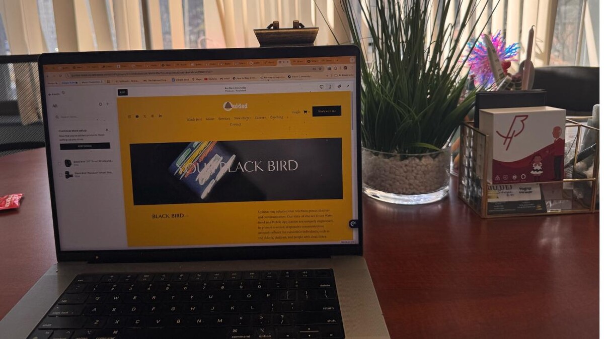 Images Guided Steps NY