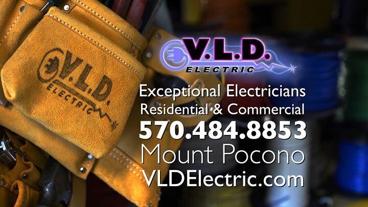 V.L.D. Electric Logo