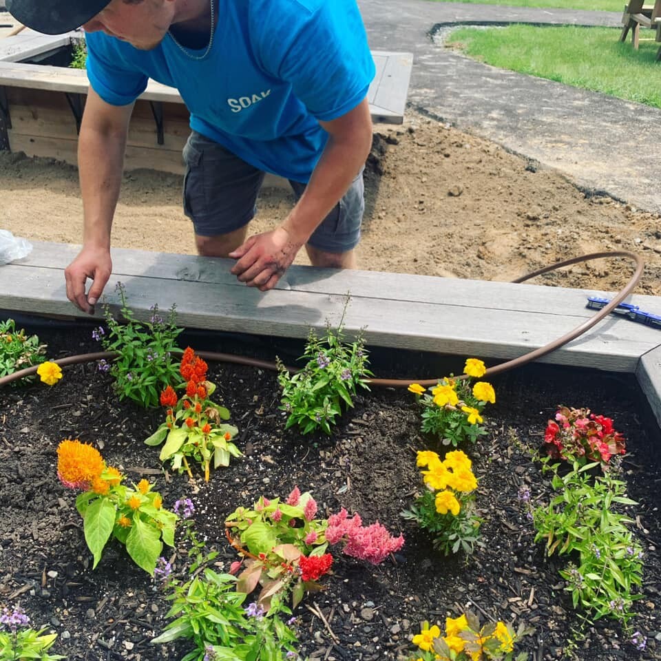 Images Soak Irrigation