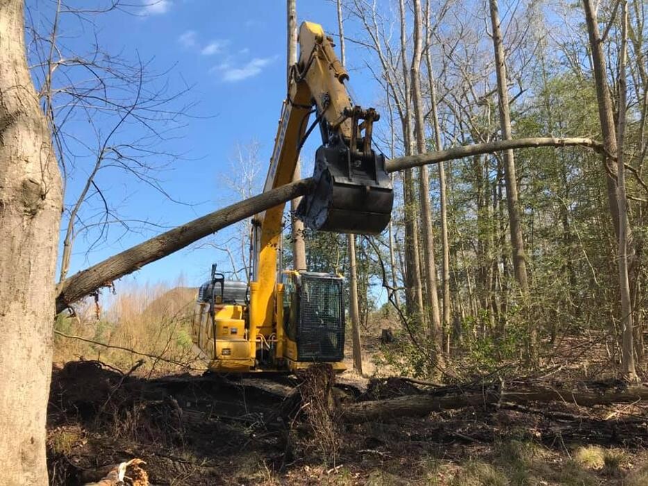Images Meibaum Excavation