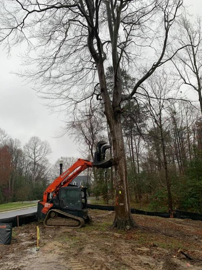 Images Meibaum Excavation