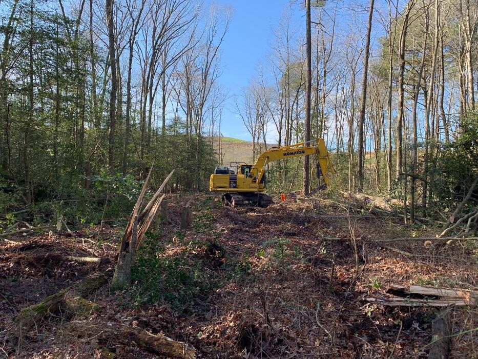 Images Meibaum Excavation