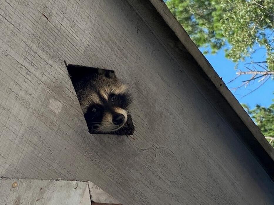 Images Critter Control of Salt Lake City