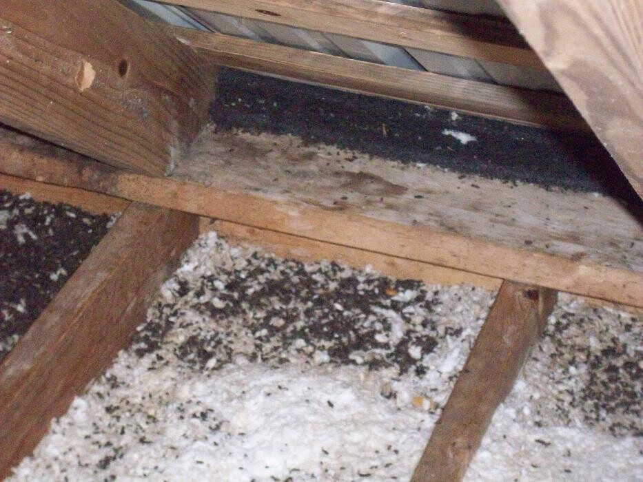 Images Critter Control